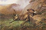 Archibald Thorburn Canvas Paintings - the lost stag